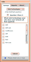 Online survey system,surveying system,survey application,survey app,online survey application,web survey application,online surveys,flash survey, flash poll application, flex applications, flash-based
